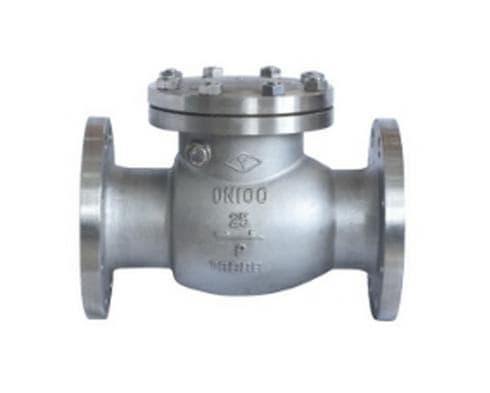 Stainless steel Swing Check Valve